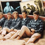 The Beach Boys, Disney, documentary